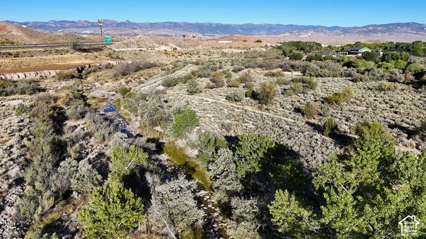 Natural landscape featuring a verdant stream, diverse foliage, and distant mountain ranges under a clear sky