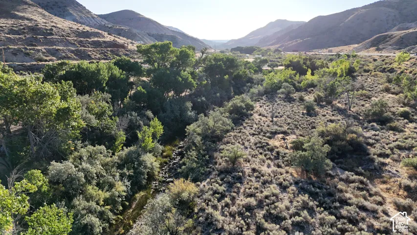 Natural landscape featuring varied topography, mature trees, and a visible water channel