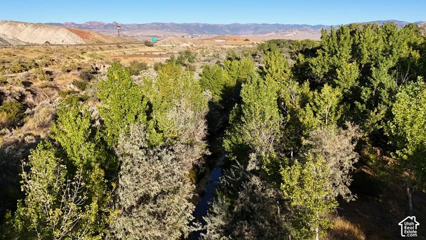 Natural creek with abundant mature trees and distant mountain range