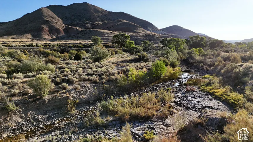 Natural landscape featuring a winding creek bed, arid vegetation, and distant mountains