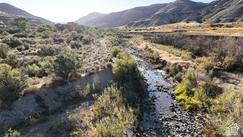 Natural landscape featuring a meandering stream, abundant native vegetation, and distant mountainous terrain