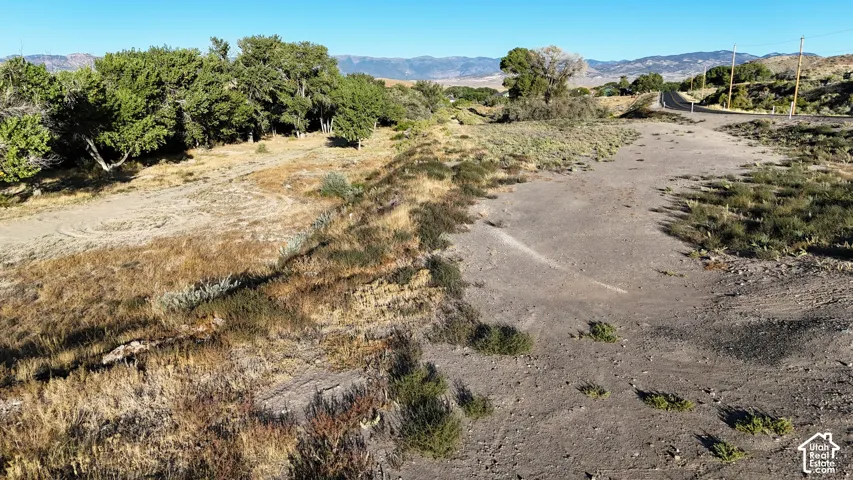 Expansive land parcel with natural vegetation, bordered by mature trees and a distant mountain backdrop