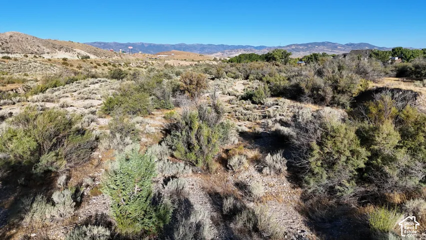 Expansive natural terrain featuring varied scrub brush and distant mountain ranges under a clear sky