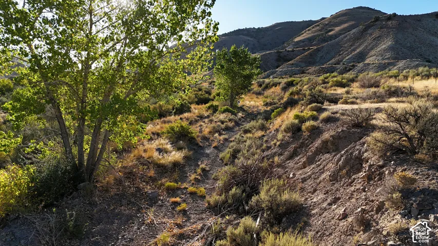 Expansive natural landscape with varied terrain, mature trees, and distant hills