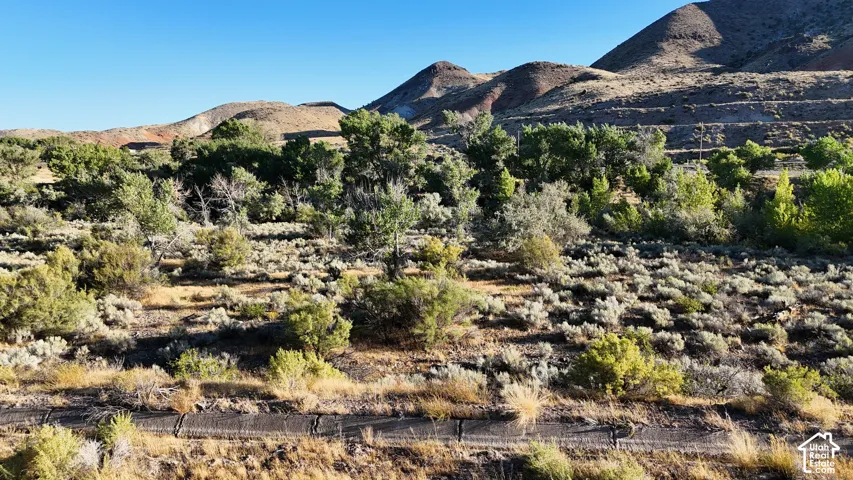 Rolling desert landscape with varied shrubbery and distant mountains