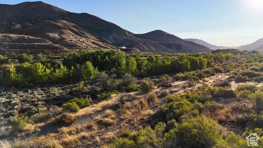 Expansive desert landscape featuring natural foliage, distant mountains, and a clear sky