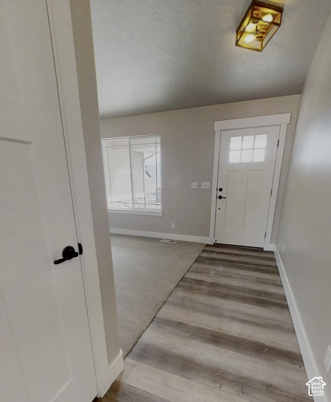 Entryway featuring wood-finish flooring, a contemporary ceiling light fixture, a paneled door with windowpanes, and carpeting in the adjacent space