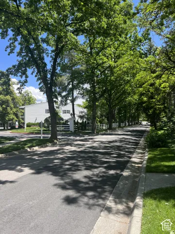 Tree-lined street with a manicured lawn and white picket fencing