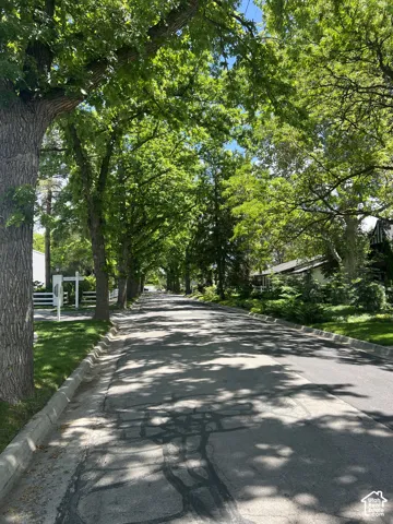 Tree-lined street with established foliage, residential properties, and manicured lawns