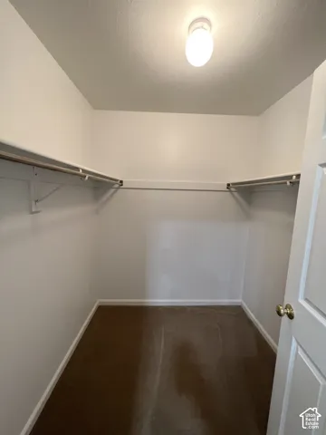 Walk-in closet featuring a flush mount ceiling light, wrap-around shelving, and a hanging rod system