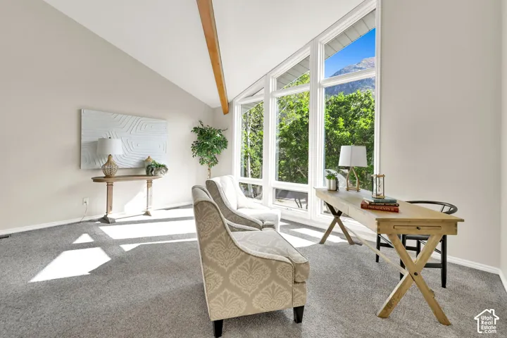 366 S Scenic Dr, Alpine, Utah 84004