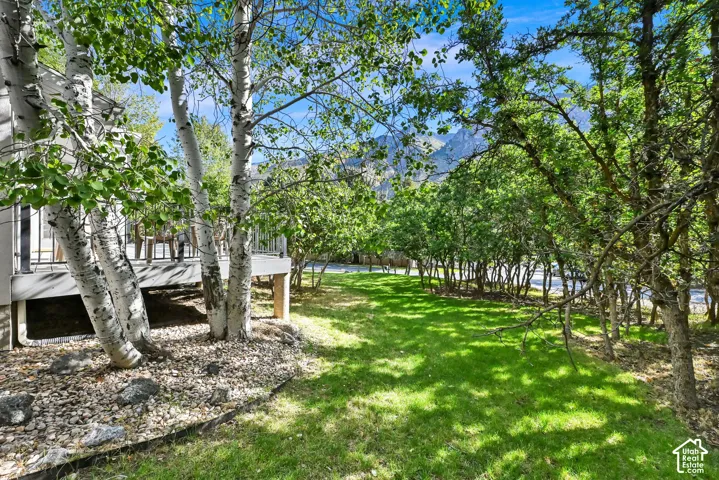 366 S Scenic Dr, Alpine, Utah 84004