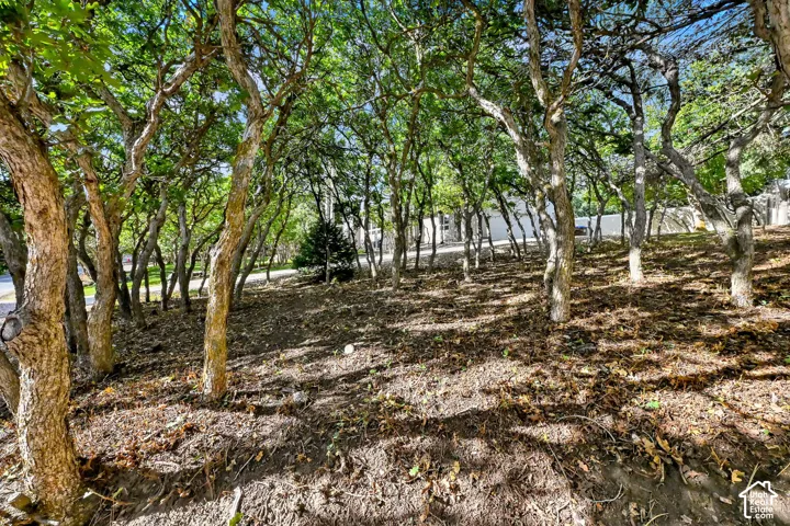 366 S Scenic Dr, Alpine, Utah 84004