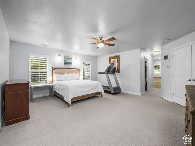 Carpeted bedroom with multiple windows and a ceiling fan