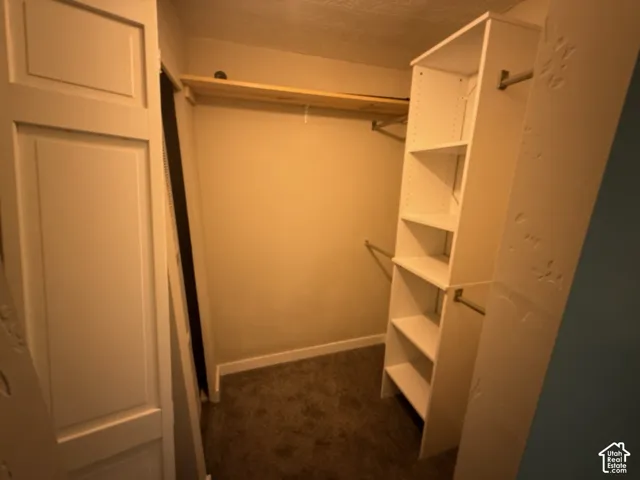 Built-in shelving unit, multiple hanging rods, and carpeted flooring