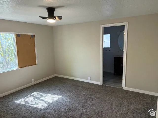Carpeted room with a ceiling fan light fixture and neutral-toned walls