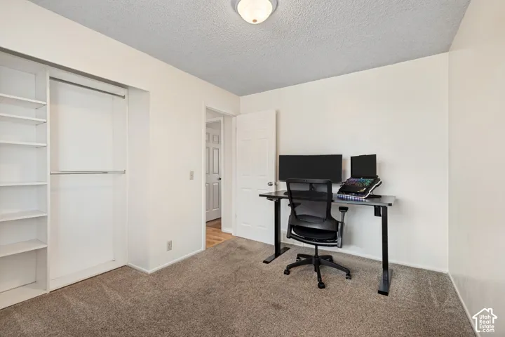 Main level 2nd bedroom. Featuring built-in closet shelving, double closet hanging rods, neutral wall paint, overhead flush-mount lighting, and neutral carpet flooring