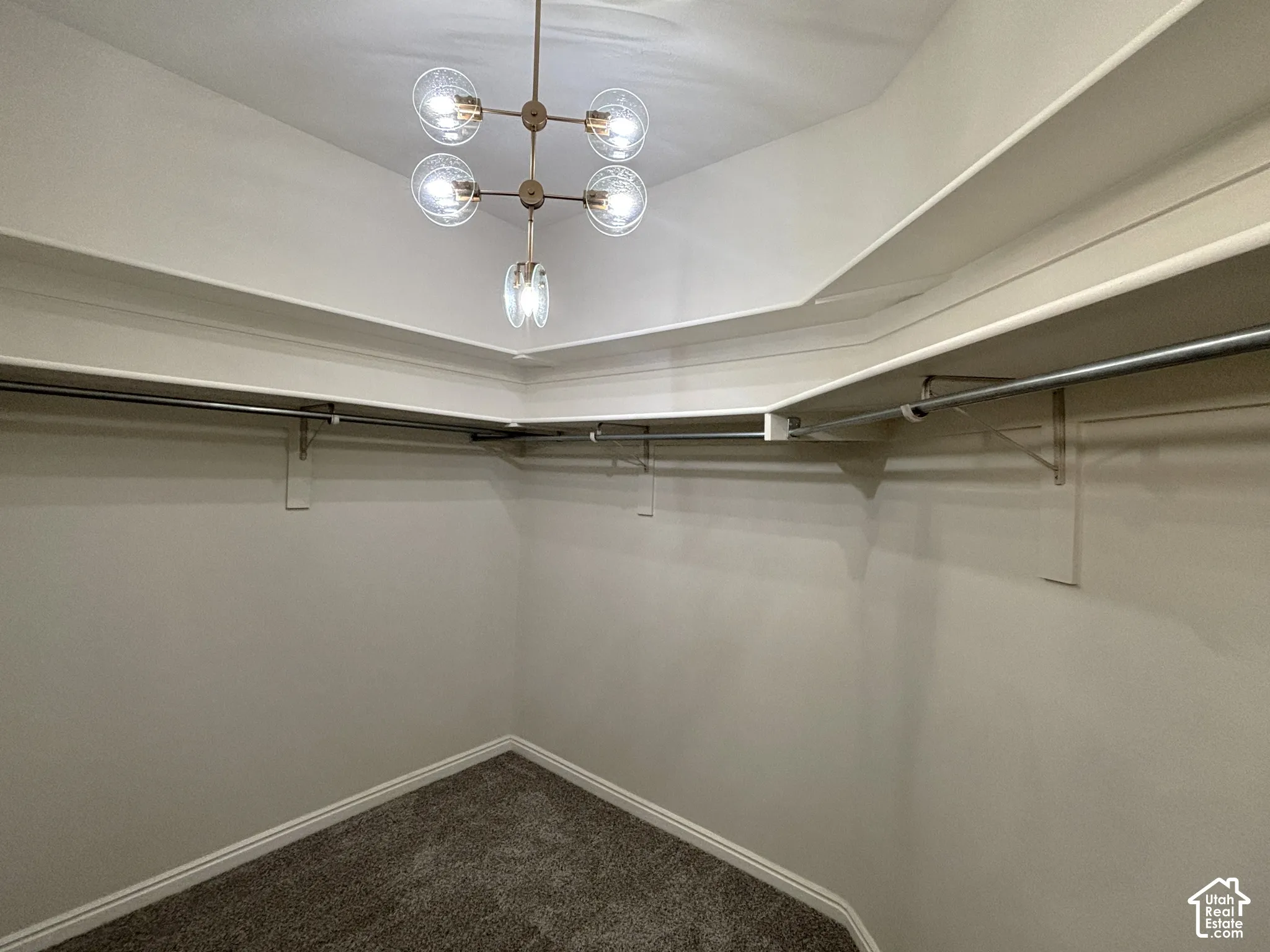 Contemporary ceiling light fixture, white shelving, metal clothing rods, and wall-to-wall carpeting