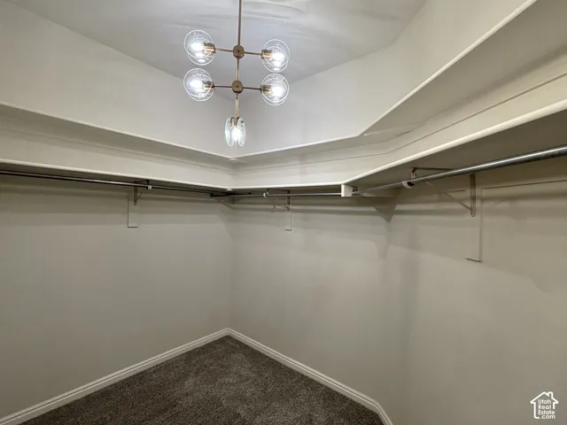 Contemporary ceiling light fixture, white shelving, metal clothing rods, and wall-to-wall carpeting
