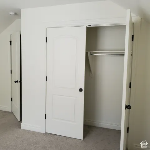 White paneled doors with matte black hardware, built-in closet with hanging rod, light-toned carpeting, and white baseboards
