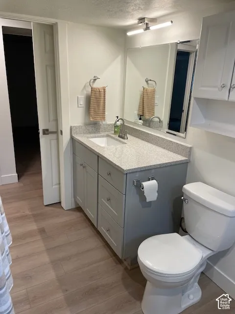 Light gray vanity with an integrated rectangular sink, speckled countertop, and wood-finish flooring