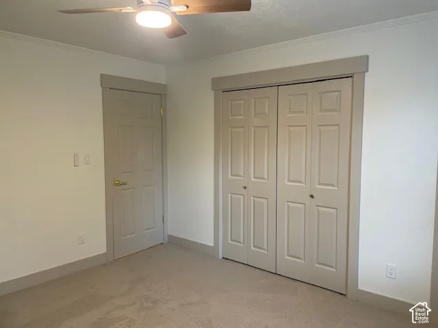 Carpeted room with a ceiling fan, crown molding, paneled interior door, and paneled bifold closet doors