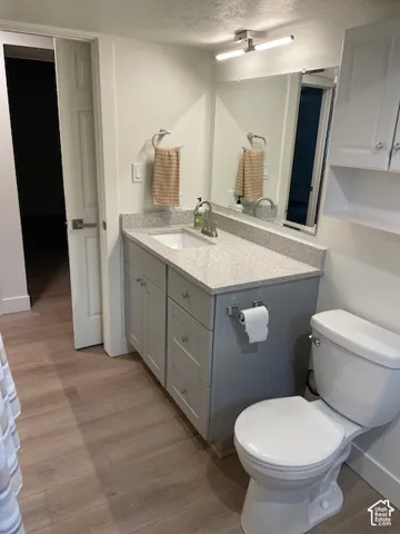 Light gray vanity with an integrated rectangular sink, speckled countertop, and wood-finish flooring