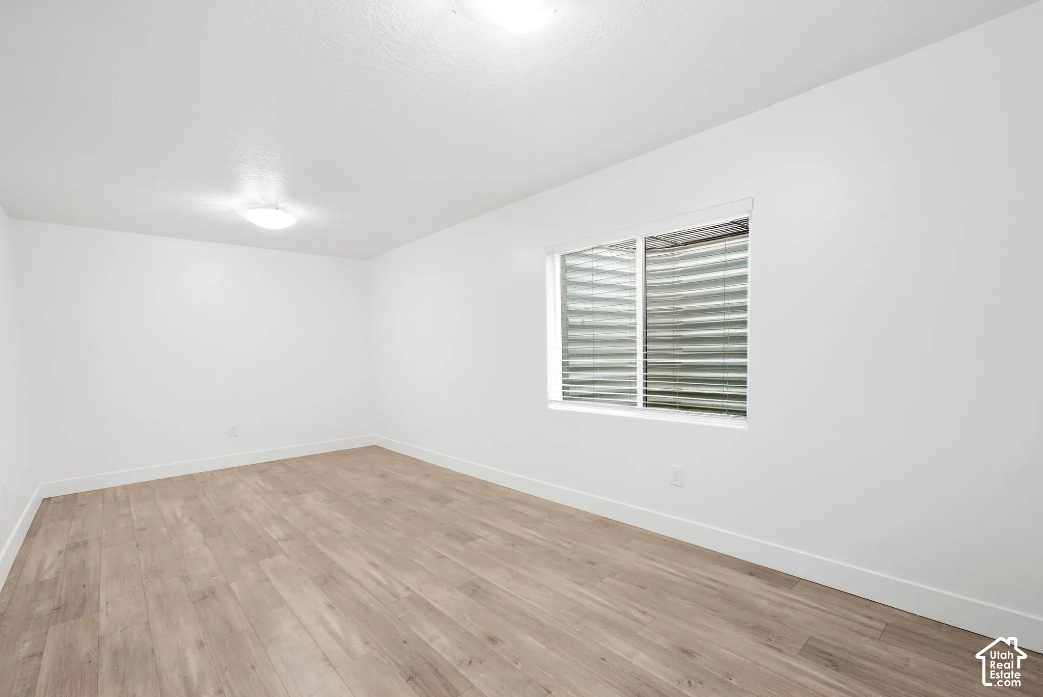 Windowed room featuring wood-finish flooring, white walls, and a ceiling light fixture