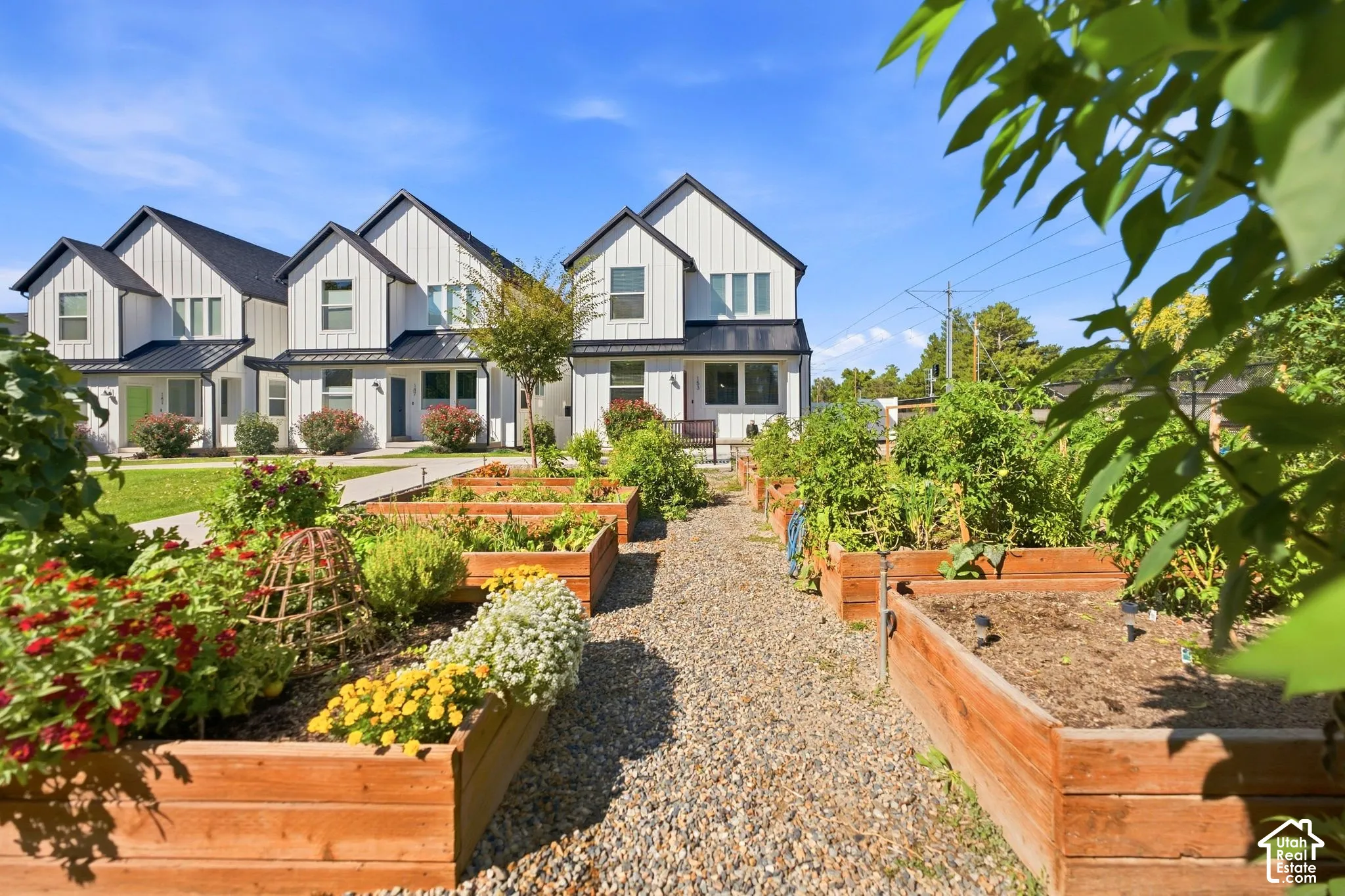 Community garden beds with various plantings, gravel pathway, and modern farmhouse-style homes featuring white vertical siding and dark roofs