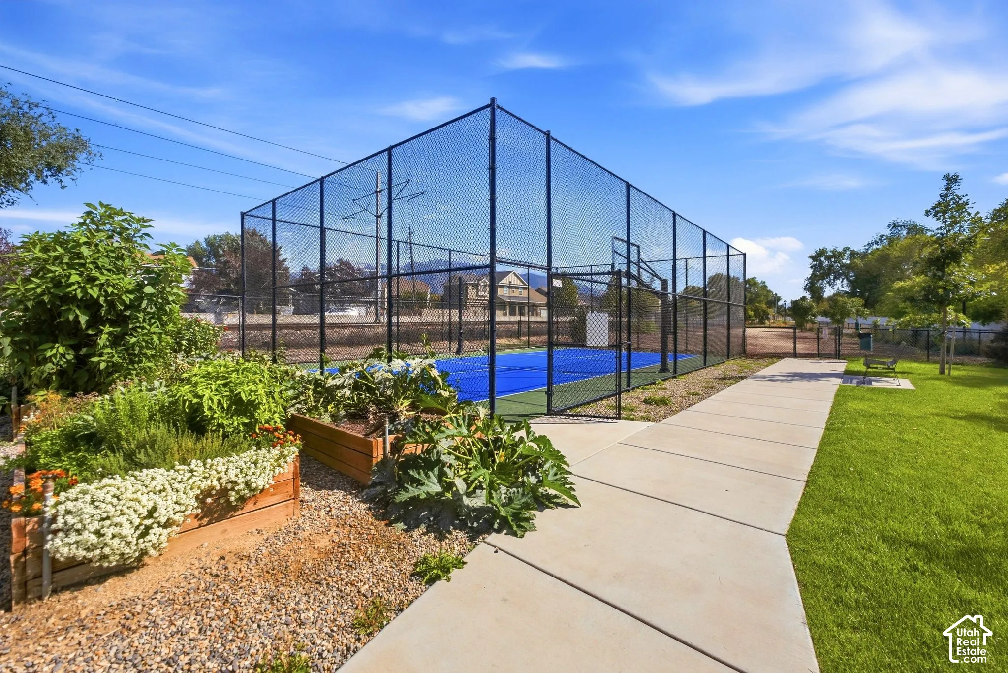 Community pickleball/basketball court.