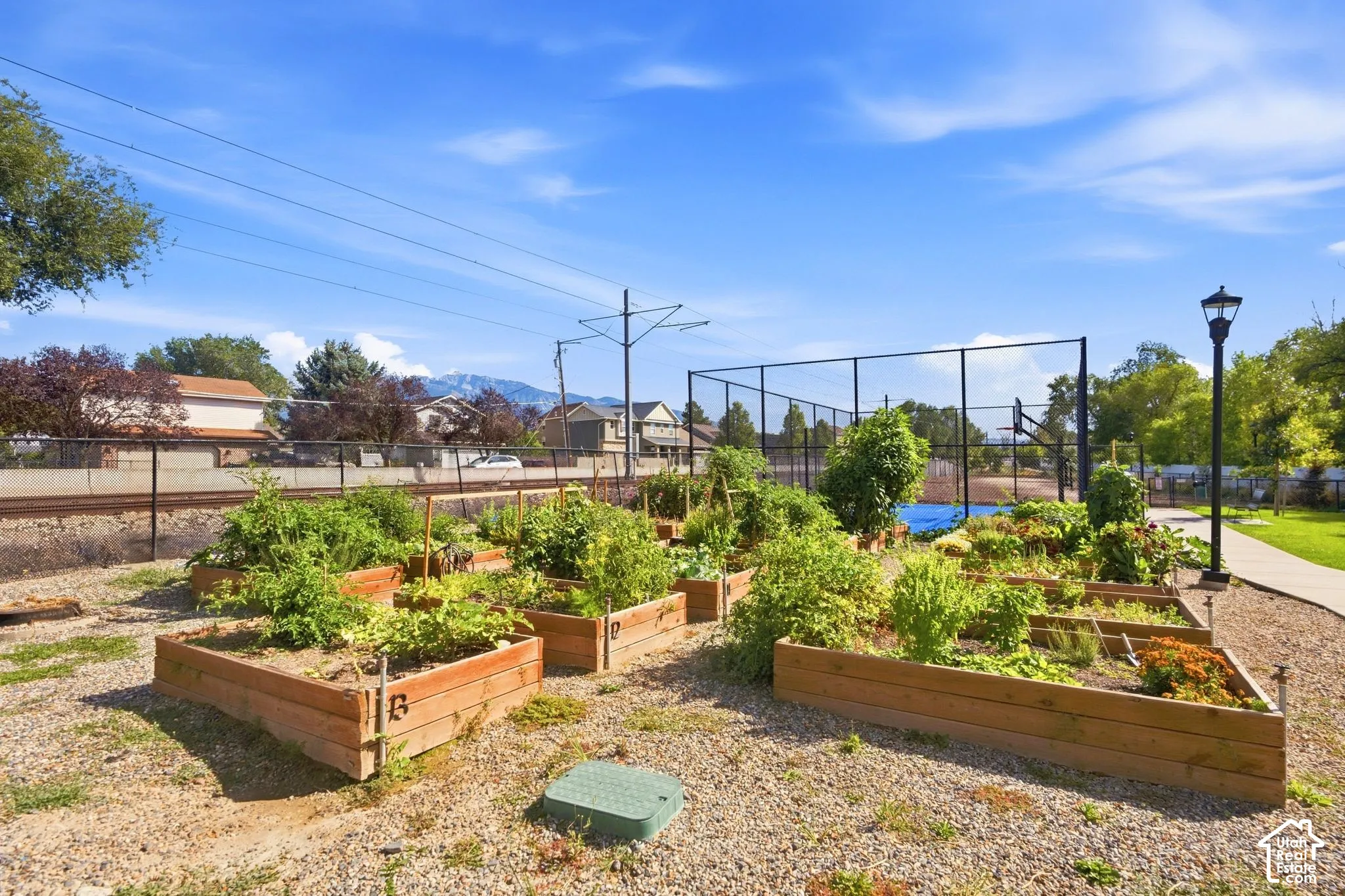 Community gardens