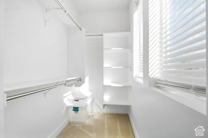Primary closet. Built-in shelving, two windows with blinds, hanging rods, and carpet flooring