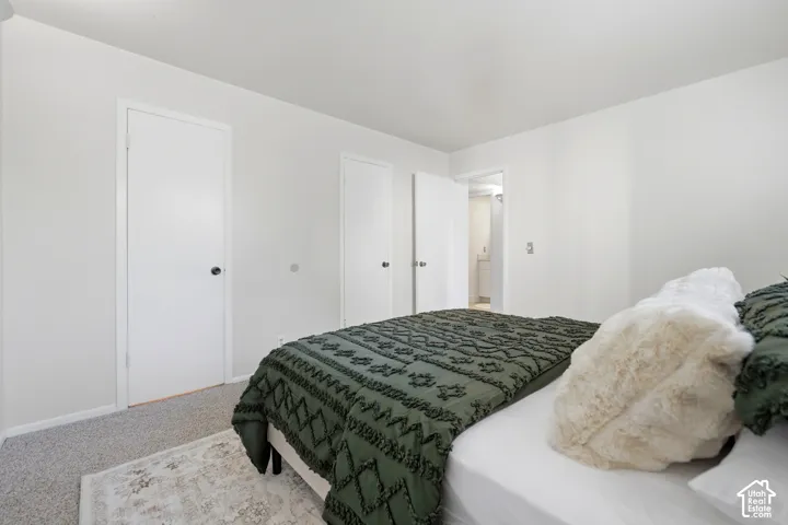 Light-toned wall finishes, carpet flooring, multiple interior doors, and overhead lighting