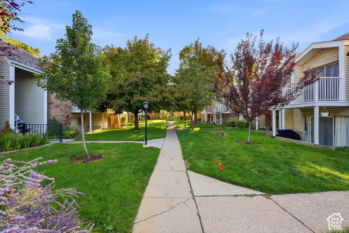 Expansive green space featuring mature trees and a concrete pathway