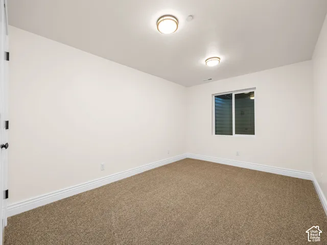 Neutral wall paint, plush carpet flooring, and a single window with white trim