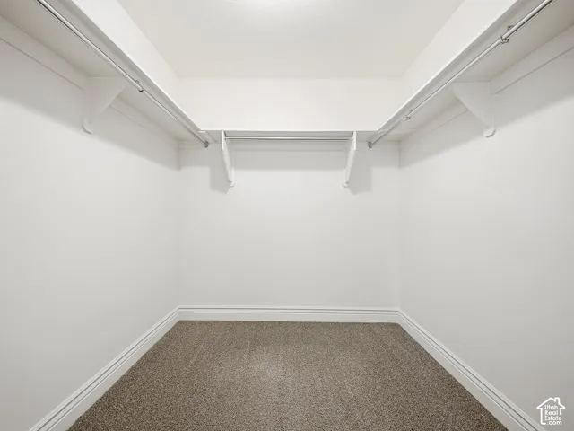 Walk-in closet with carpet flooring, white walls, and built-in shelving with hanging rods