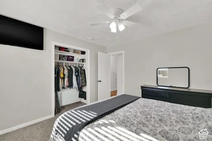 Plush carpet flooring, ceiling fan with integrated lighting, and a closet with built-in shelving and hanging rods