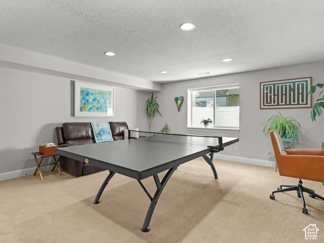 Recessed lighting, carpeted flooring, and a large window with privacy film