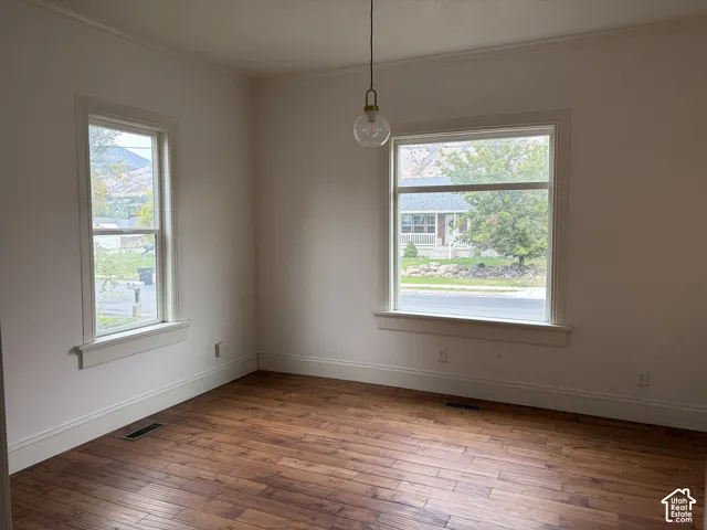 Wood-finish flooring, white trim, multiple windows with white frames, and a ceiling-mounted light fixture