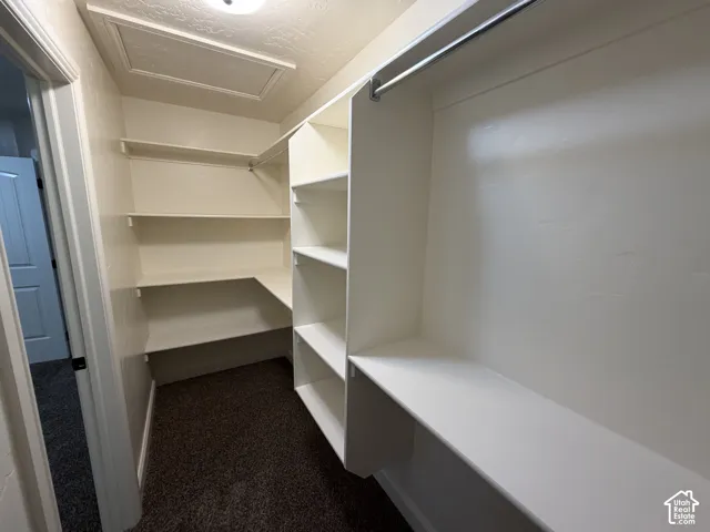 Walk-in closet with carpet flooring, built-in shelving, and hanging rods