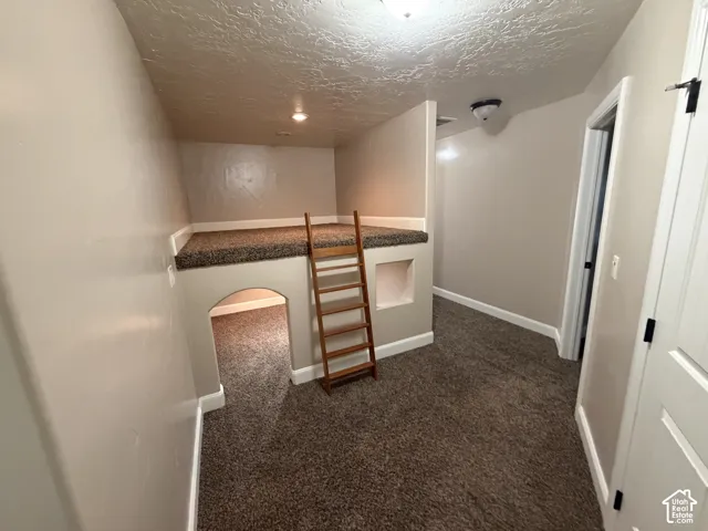 Built-in elevated platform with carpeted surface and integrated ladder