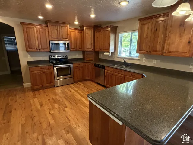 Kitchen featuring wood-finish flooring, stainless steel appliances, wood cabinetry, dark countertops, and recessed lighting