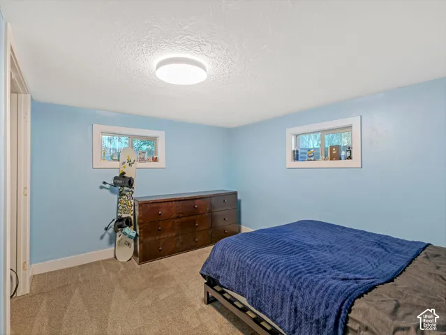 Recessed windows with white trim, wall-to-wall carpeting, and a flush mount ceiling light fixture