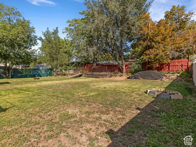 Expansive backyard with mature landscaping, including towering trees and established plantings