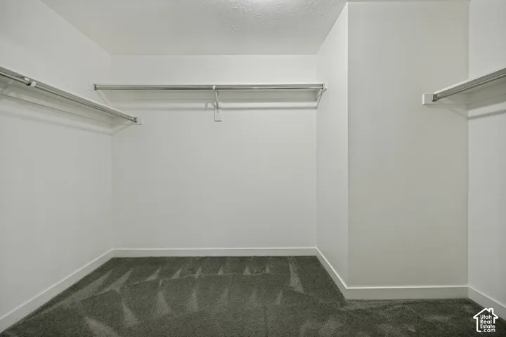 Walk-in closet featuring plush gray carpeting, white walls, and multiple clothing rods for organization