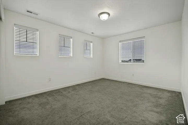 Neutral wall colors with textured carpet flooring, multiple windows, and a flush-mount ceiling light fixture