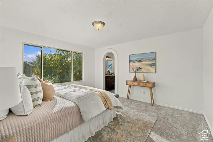 White walls with a light-colored ceiling, gray carpet, and a large window