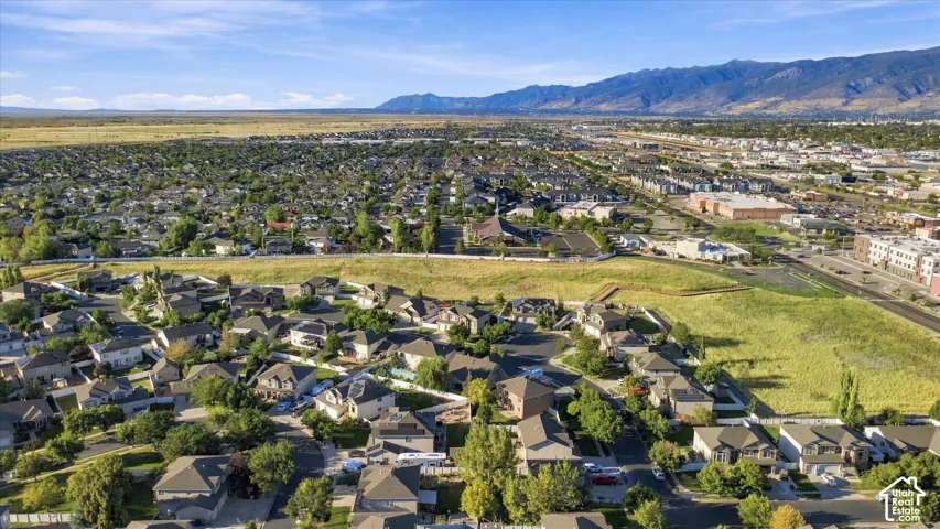 Expansive residential area with mature trees and a distant mountain backdrop