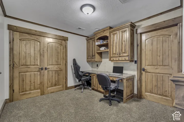 Built-in wood cabinetry with a stone-finish countertop, wood-finish doors, and wall-mounted lighting