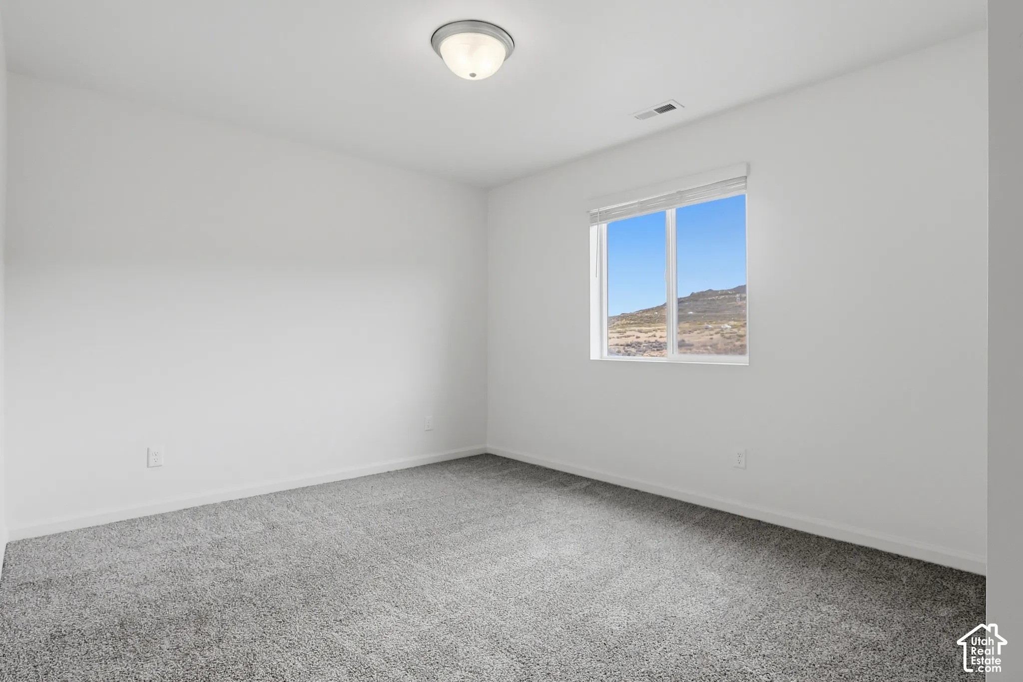 Light grey carpeting, white painted walls, and a single window with a white frame